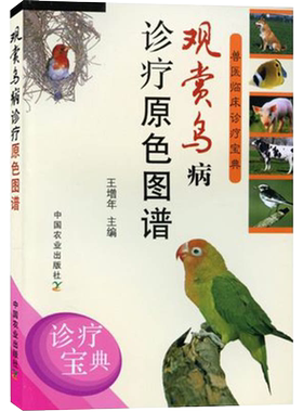 观赏鸟病诊疗原色图谱 笼养鸟驯养技法与疾病防治 观赏鸟养殖图书 笼中鸟养殖与疾病诊断与**预防技术大全书籍 鸟高效养殖饲养书
