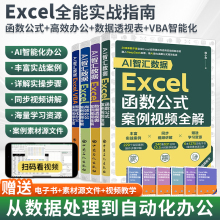 2025新书excel函数与公式应用大全计算机应用基础教程书籍excel入门到精通函数表格制作公式大全自学办公软件财务数据处理与分析