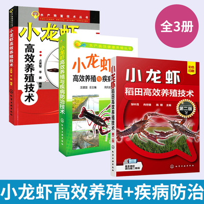 3册小龙虾稻田高效养殖技术第二版+小龙虾高效养殖与疾病防治技术+小龙虾高效养殖技术 龙虾养殖技术大全养虾书籍对虾苗种培育池塘