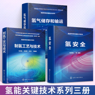3册 氢能利用关键技术系列--氢安全+制氢工艺与技术+氢气储存和输运 毛宗强 氢安全基础知识书籍 氢气利用过程中的安全原理策略