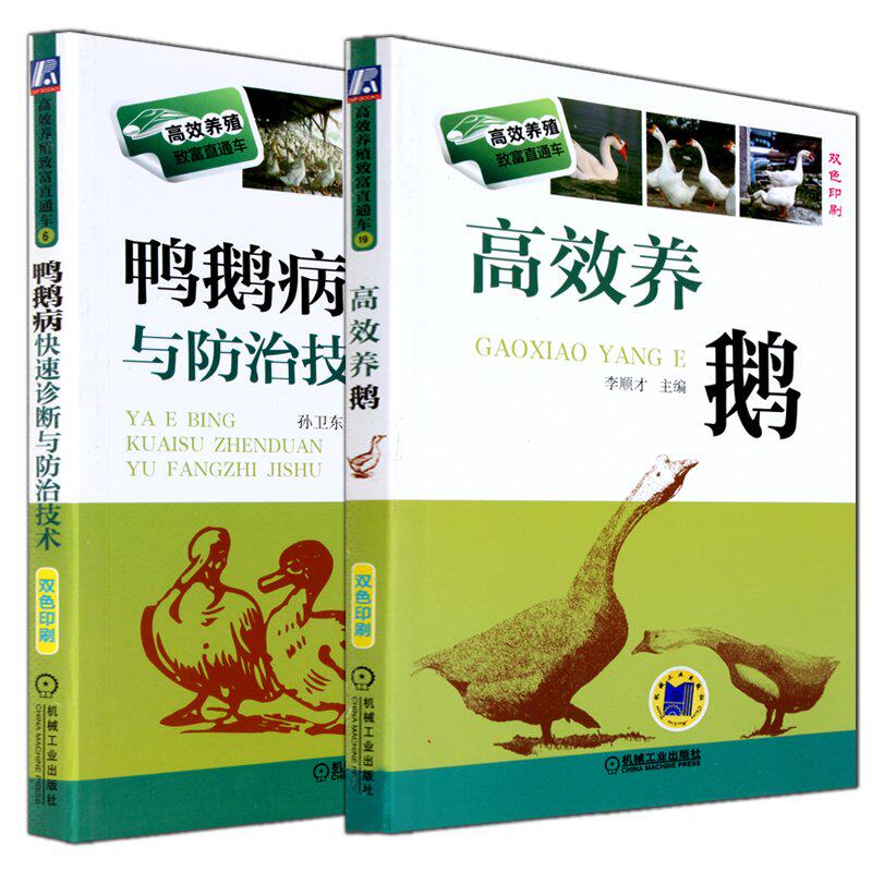 高效养鹅 鸭鹅病快速诊断与防治技术 养鸭技术鸭药大全安全用药养鸭鹅