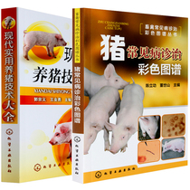 现代实用养猪技术大全+猪常见病诊治彩色图谱 2册高效养猪技术书 兽医猪病学图解猪病诊治鉴别与用药防治科学养猪养殖技术手册书籍