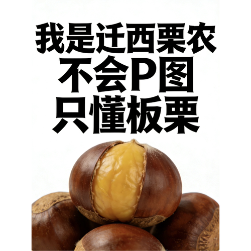 2025新货正宗迁西板栗包邮