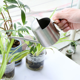 不锈钢金属长嘴洒水壶迷你阳台多肉植物小盆裁喷水壶淋花壶300ML