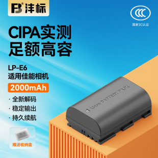 沣标LP 5D3 5D4 70D R7二代 5D2 E6N充电器套装 60D 80D 6D2 7D2 90D E6相机电池20适用佳能EOS