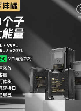 沣标BP-190W索尼摄像机电池HDW-800P广播级PDW-850摄影补光灯LED监视器BMCC外挂供电系统V口V型卡扣BP150Ｗ