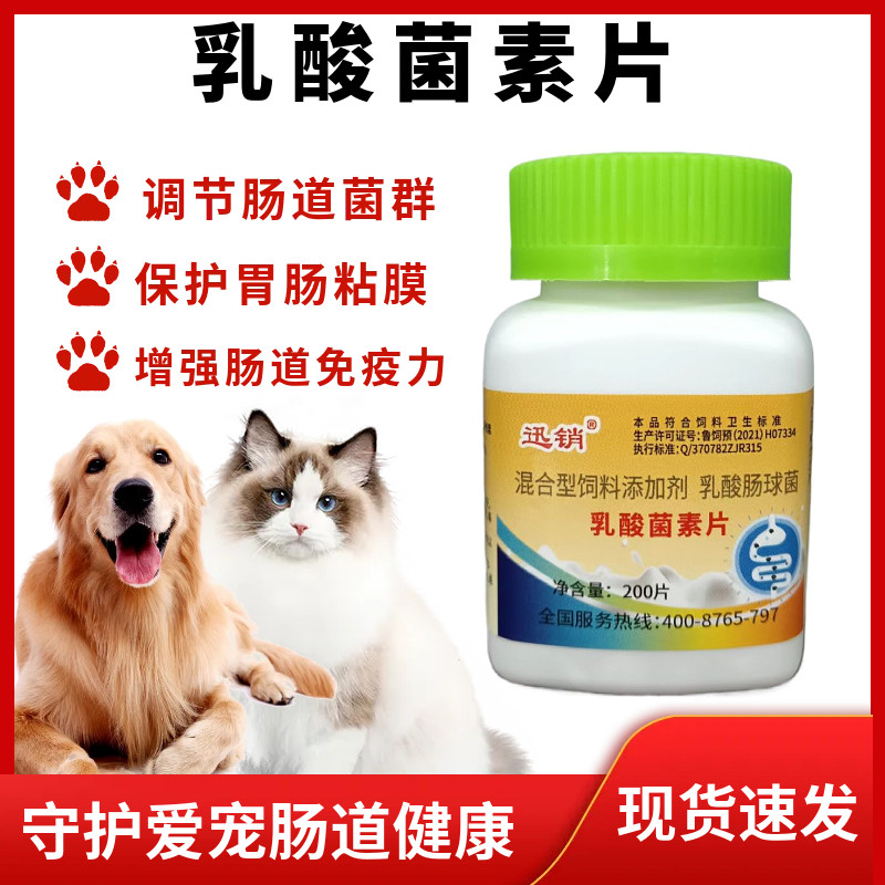 兽用乳酸菌素片宠物猫狗调理肠胃
