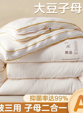 德国A类母婴级大豆纤维子母被二合一拉链款被子冬被加厚棉被被芯