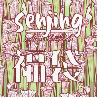 超值福袋/盲盒/不确定性的乐趣!品种随机/食虫瓶子草多肉弹簧草