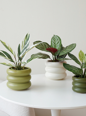 ladylike 仿真绿植苹果叶室内客厅植物盆栽 万年青盆景花盆摆件