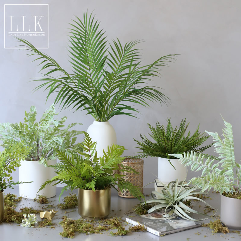 ladylike客厅仿真绿植植物假花仿真花铁线蕨凤尾蕨小盆栽套装摆件