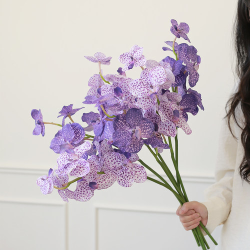 高级感万代兰花花艺，仿真手感
