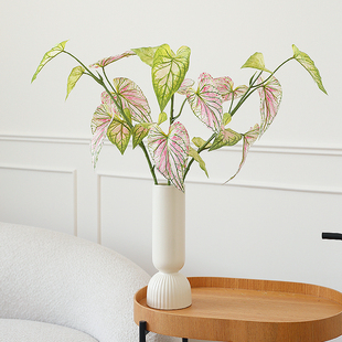 ladylike 仿真彩芋叶海芋植物 仿真绿植家居装饰插花室内假花配材