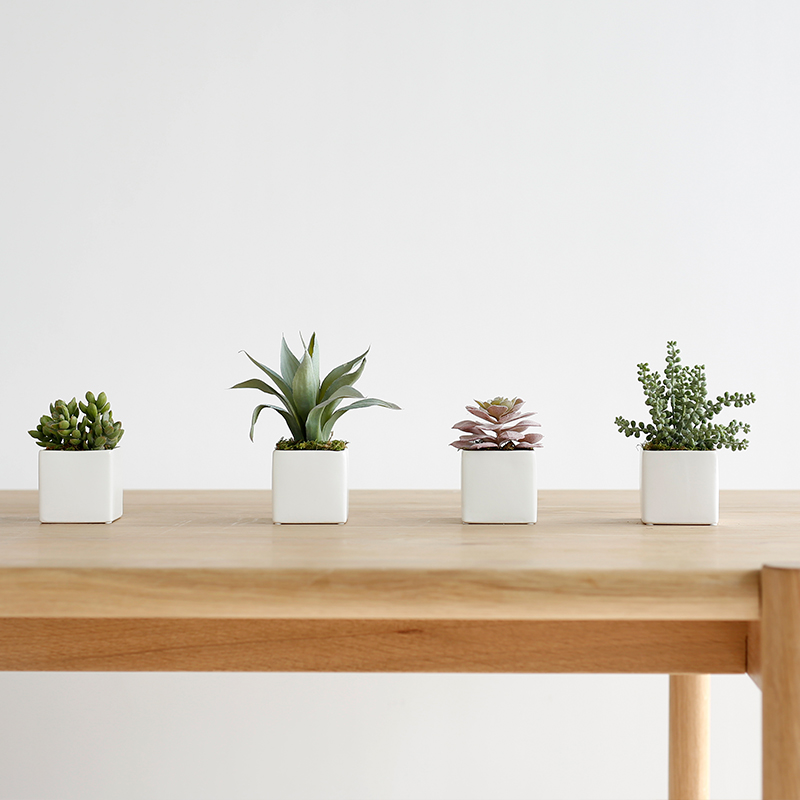 ladylike仿真绿植组合陶瓷花盆