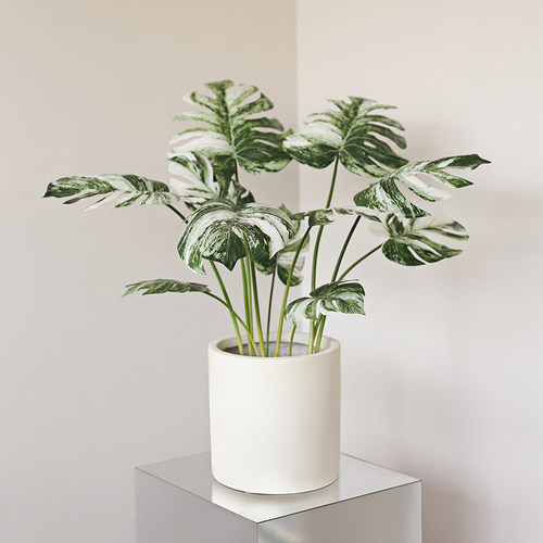 ladylike仿真植物室内客厅盆景