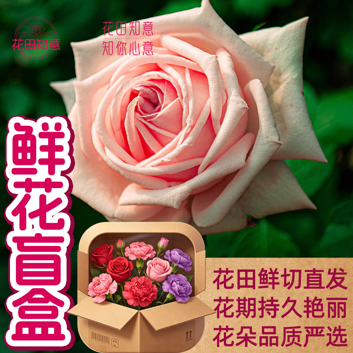 云南鲜花盲盒花艺插花花田直发
