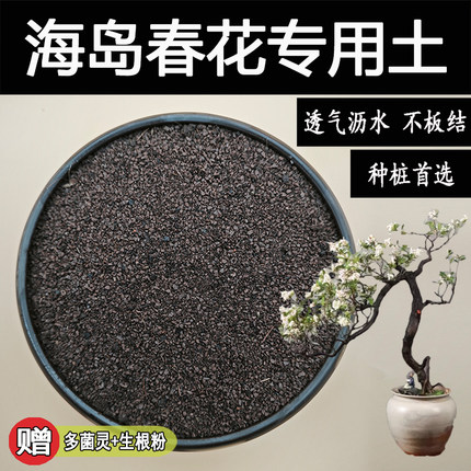 海岛春花专用土盆景专用风化土风化石颗粒土赤玉土种植生桩盆栽土