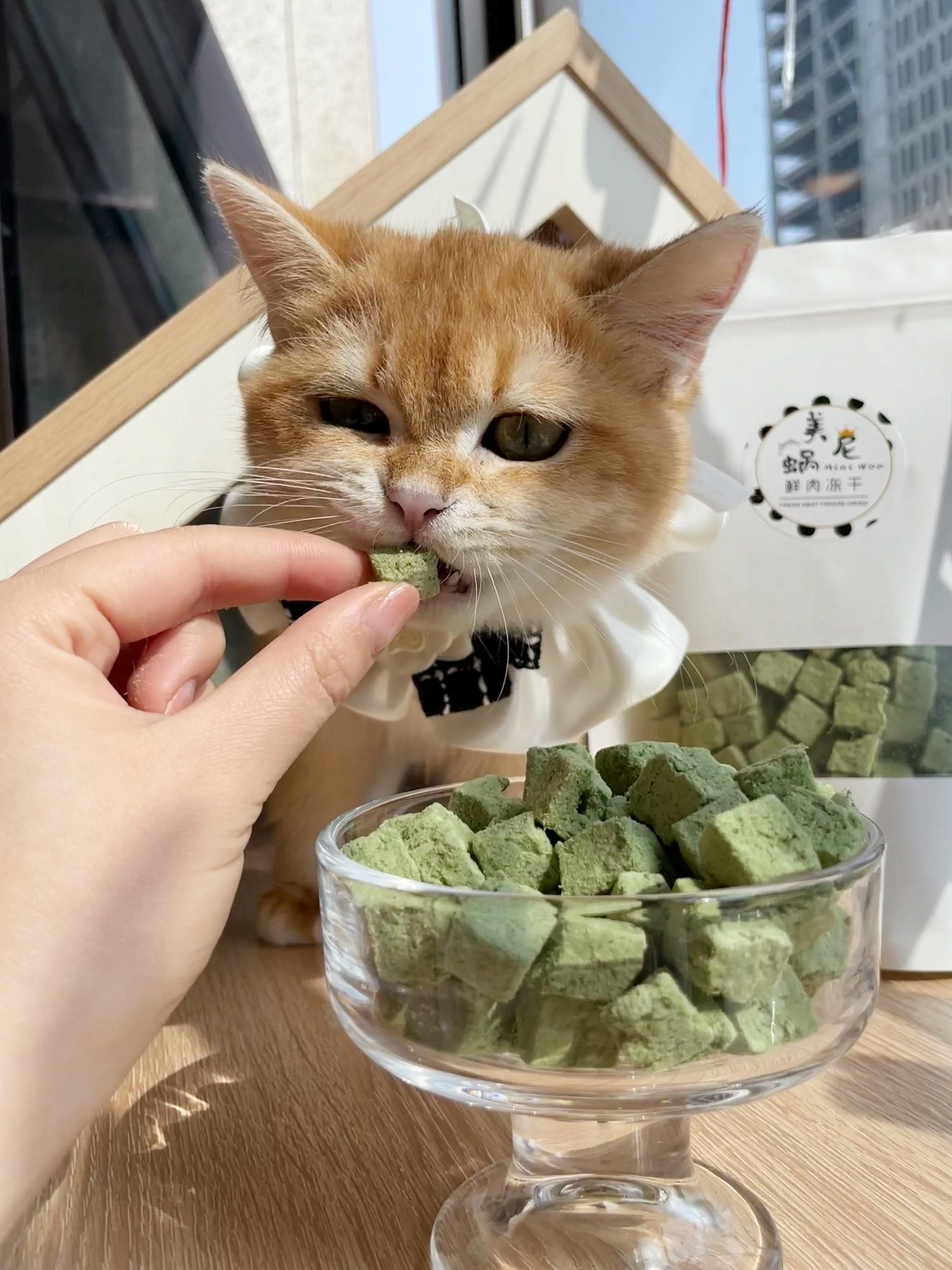 【实体店正品】美尼蜗鲜肉猫草粒磨牙洁齿排毛健康吃肉,宠物/宠物食品及用品,猫冻干零食,淘宝优惠券,粉丝福利购,淘宝优惠卷