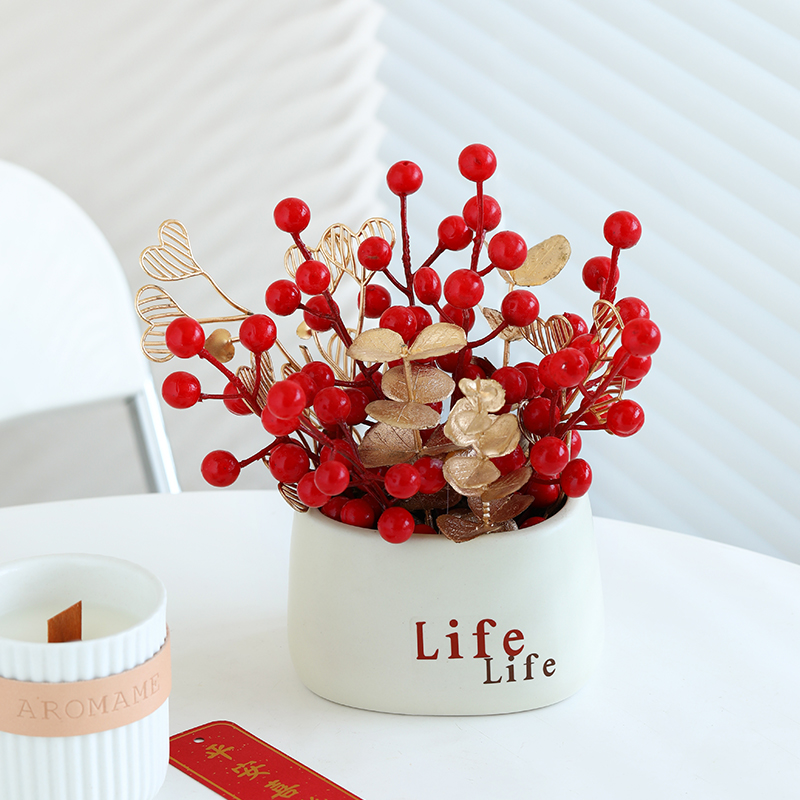 红红火火发财果小盆栽