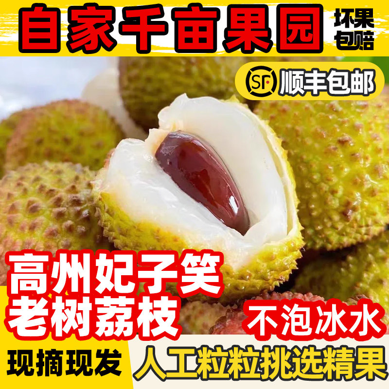 荔枝新鲜现摘茂名高州老树白糖罂端午节送礼当季水果顺丰空运