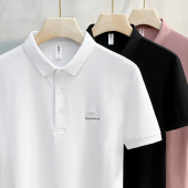 t恤男潮牌夏季 polo衫 薄款 刺绣保罗体恤商务高端男士 半袖 翻领短袖