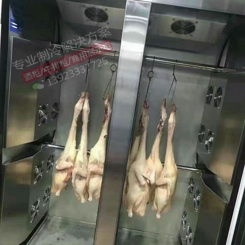 定制挂鸭烧鹅柜鸟禽肉冷藏展示柜冷冻柜厨房冰箱refigeration设备