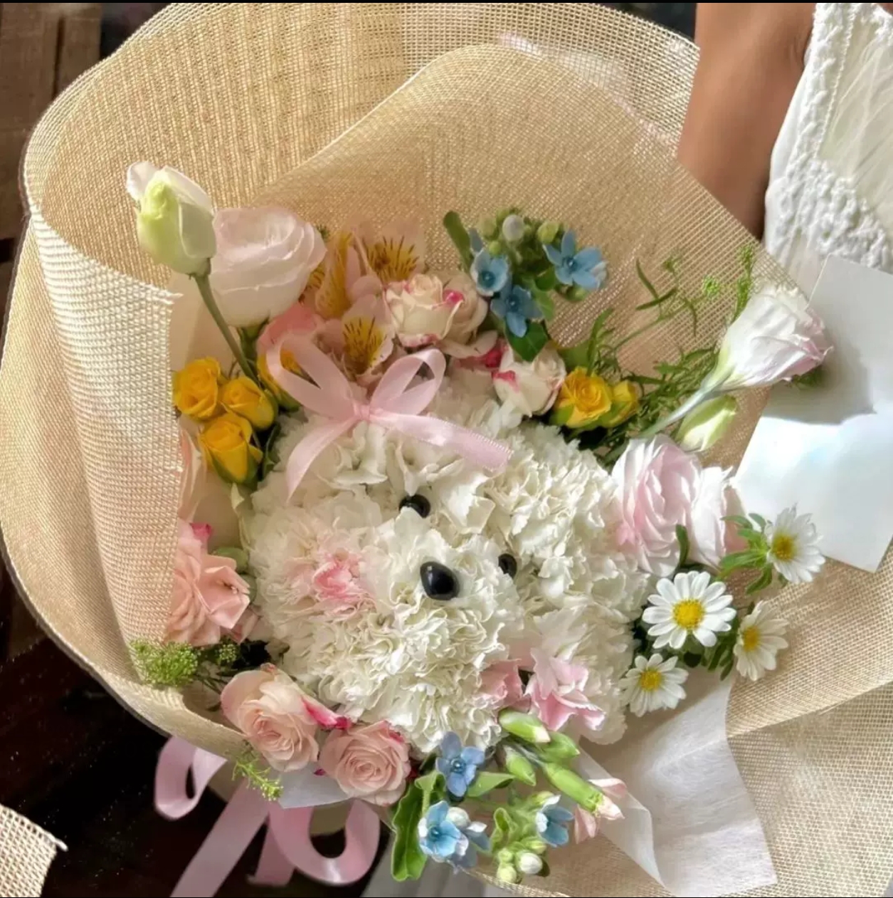 网红爆款可爱小狗小猫小熊花鲜花送女友生日全国同城配送杭州速递