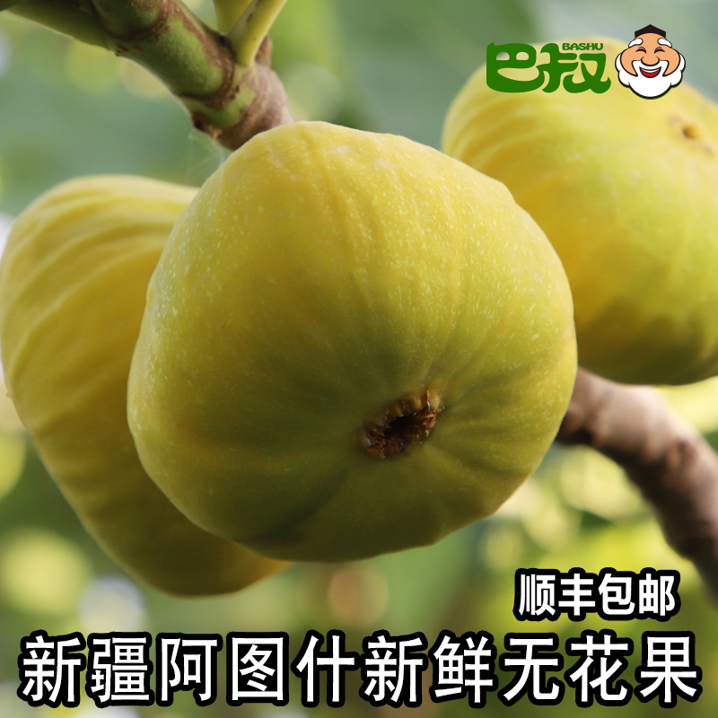 新疆早黄新鲜大无花果巴叔新鲜水果阿图什树上糖包子黄皮无花果