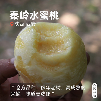 仓方水蜜桃新鲜时令当季水果陕西甜多汁软的可剥皮撕皮桃子顺丰