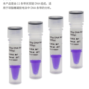 免邮含票100bp DNA Marker 分子量标准100-1500bp 条带分析BL101A