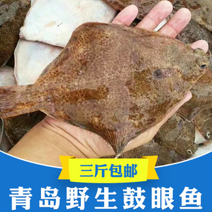 3斤青岛鼓眼鱼高眼鱼新鲜鲜活比目鱼冷冻偏口鱼小嘴鱼古力鱼海鱼