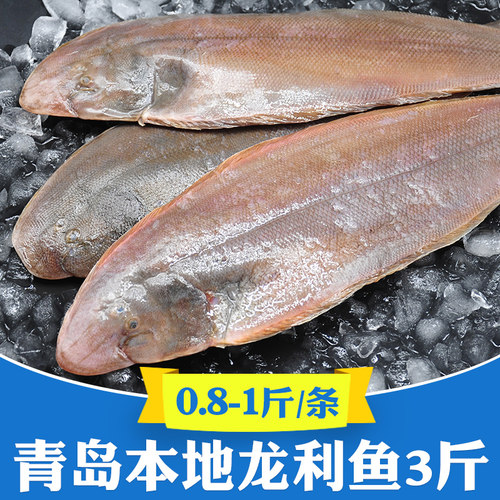 3斤特大海捕深海龙利鱼