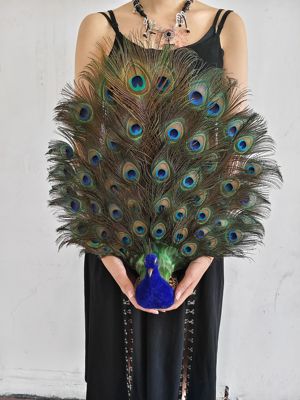 仿真开屏孔雀 真羽毛制作装饰品家具摆件节日礼品ins风