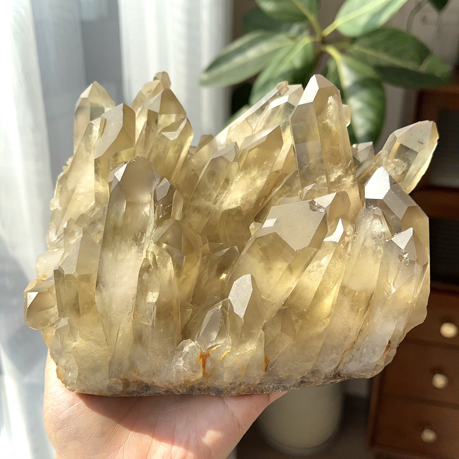 天然茶黄水晶晶簇摆件