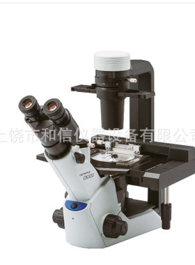 Olympus/奥林巴斯CKX53 CX33 CX41 CX43 BX43 BX53生物显微镜现货