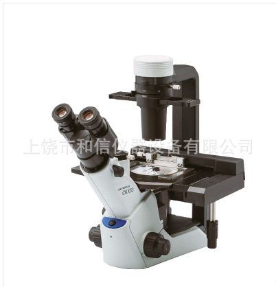 Olympus/奥林巴斯CKX53 CX33 CX41 CX43 BX43 BX53生物显微镜现货