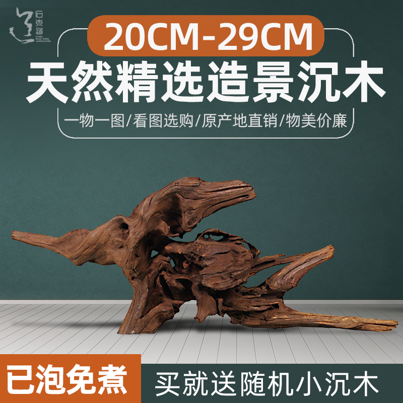 实图挑选20-29cm鱼缸沉木造景木水草缸细节装饰莫斯树绝非杜鹃根