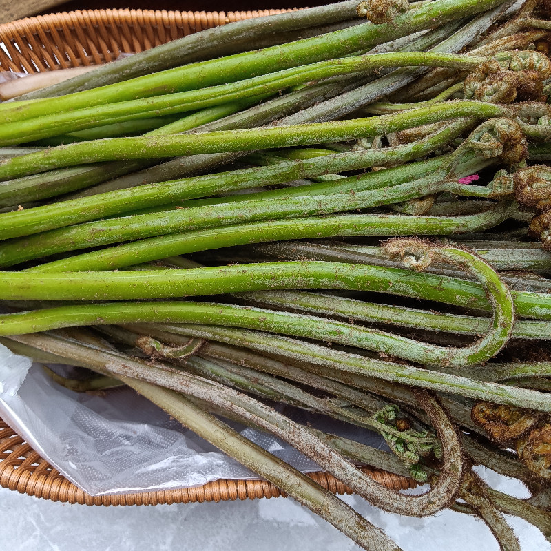 蕨菜新鲜贵州鲜嫩甜蕨苔黔东南新鲜蕨菜天柱特产锅莲菜下饭菜
