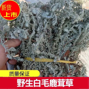白毛鹿茸草六月霜千霜千年艾白头翁草药干品千重塔白龙骨白地蜈蚣