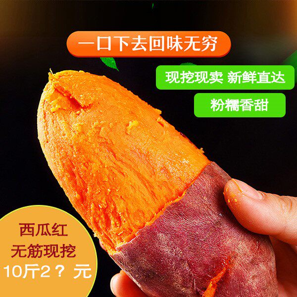 西瓜红蜜薯糖心红薯超甜地瓜本地农家自种新鲜香薯蕃薯山芋种子