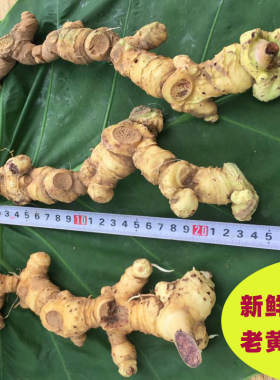 江西黄精新鲜野生现挖正品