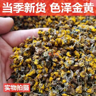江西赣南上犹野菊花干货野生小野菊花中药材 泡茶 煮水凉茶散装