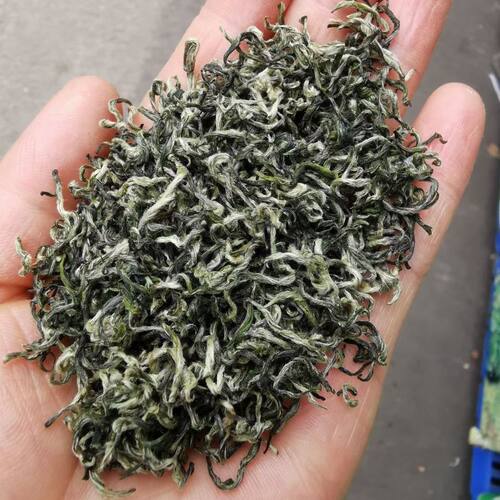 2022明前高山上犹毛尖250克一罐