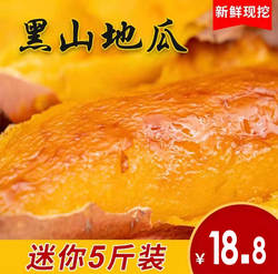 黑山地瓜蜜薯 烟薯25 (迷你)小5斤产品