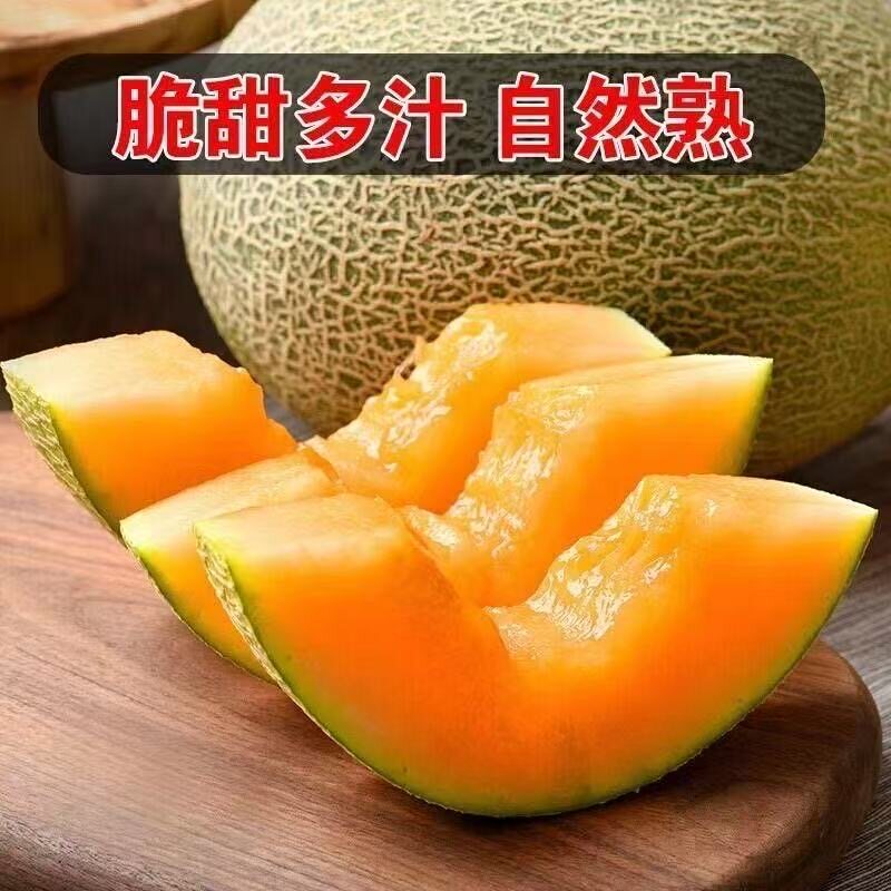 江西赣州新鲜现摘小香蜜25号蜜哈密瓜脆甜爽口应季水果皮薄肉厚