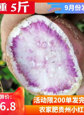 贵州花心红薯新鲜红薯种子冰淇淋薯粉糯5斤包邮蜜薯糖心红薯