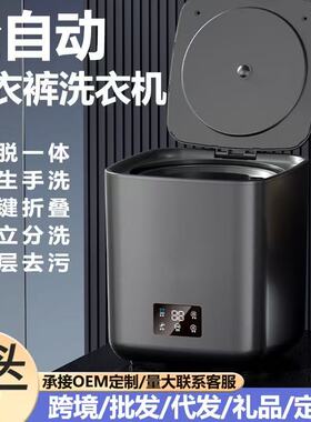 跨境110-220V全自动家用洗脱一体小型洗衣机家宿舍迷你内衣裤衣机