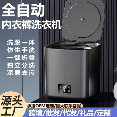 跨境110-220V全自动家用洗脱一体小型洗衣机家宿舍迷你内衣裤衣机