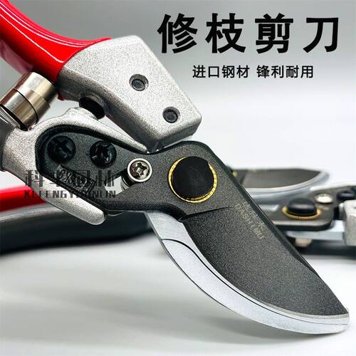 剪树枝专用剪子修剪树枝剪刀修枝剪养花工具省力耐用家用果枝剪