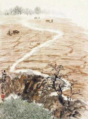 医中有术补土运化油老师家的宝贝（沃土）成人